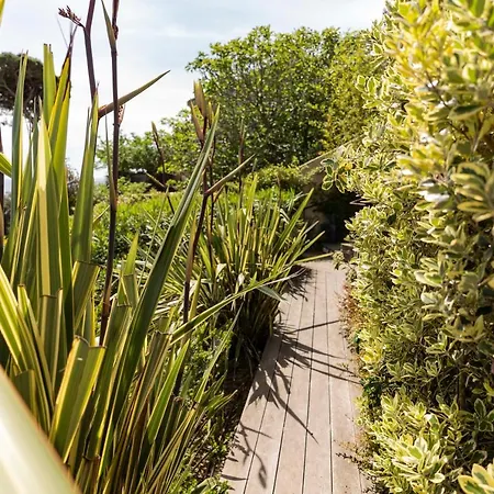 In إربالونجا