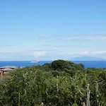 In Erbalunga