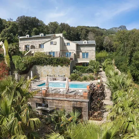 In Erbalunga (Corsica)