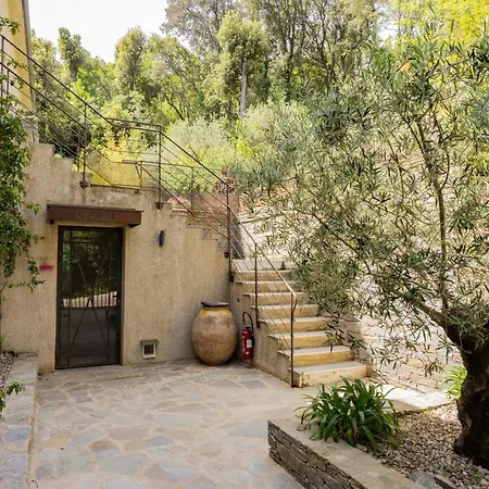 In Erbalunga (Corsica)