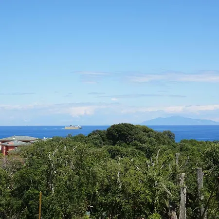 In Erbalunga (Corsica)