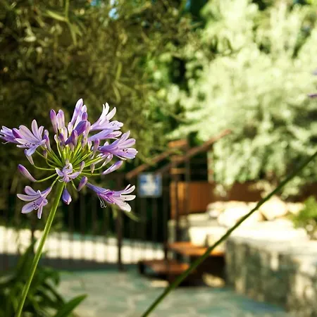 Aparthotel In Erbalunga (Corsica)