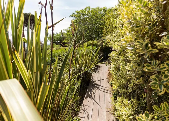 In Erbalunga (Corsica)