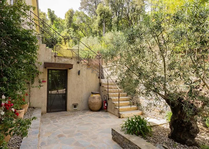 In Erbalunga (Corsica)