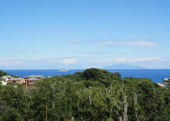 In Erbalunga (Corsica)