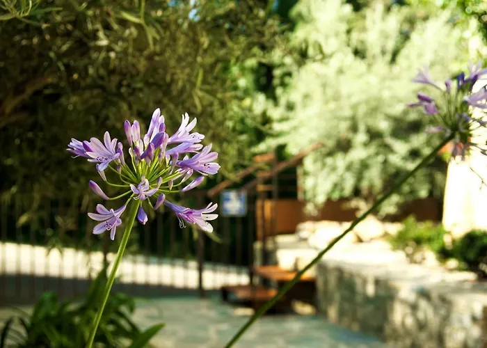 Aparthotel In Erbalunga (Corsica)